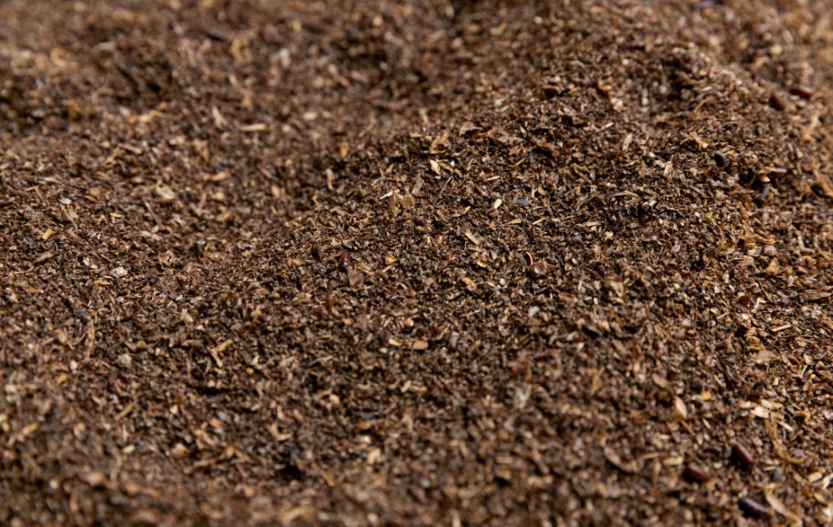 What Is Soldier Frass? A Gardener's Honest Guide