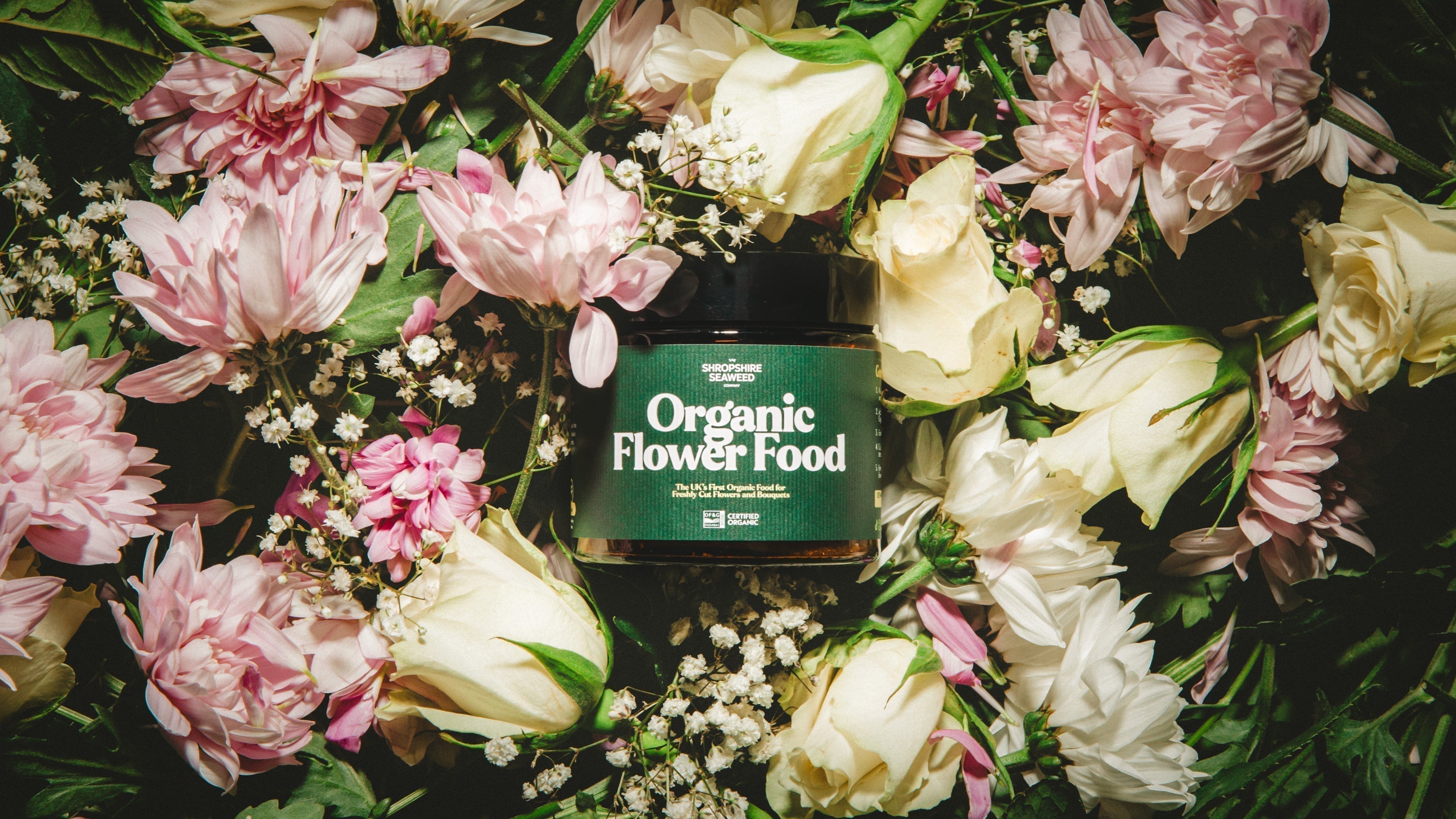 Blooming Naturally: The Story Behind Our Organic Flower Food