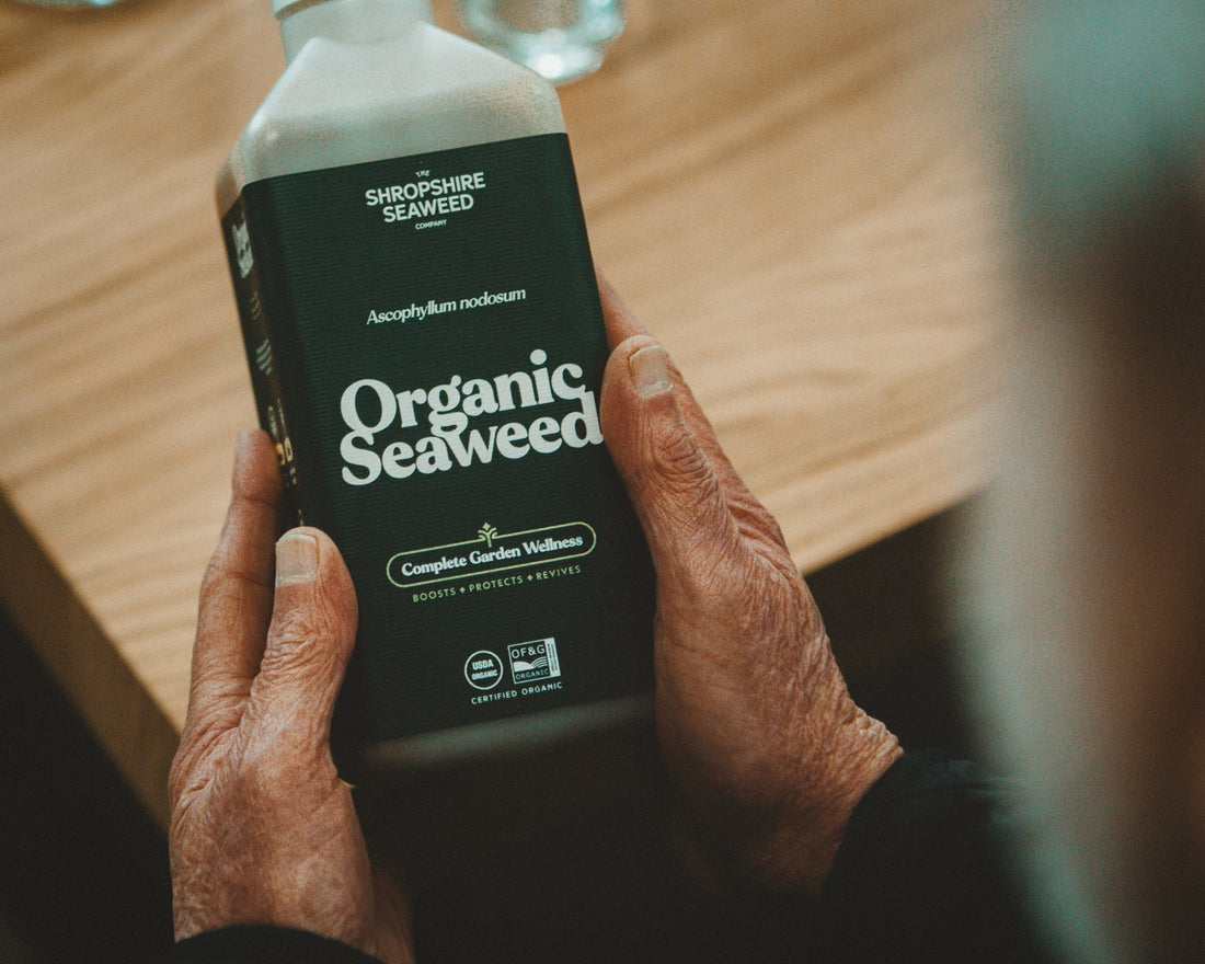 Cold Pressed vs Heat Treated Seaweed Fertiliser: What's the Real Difference?