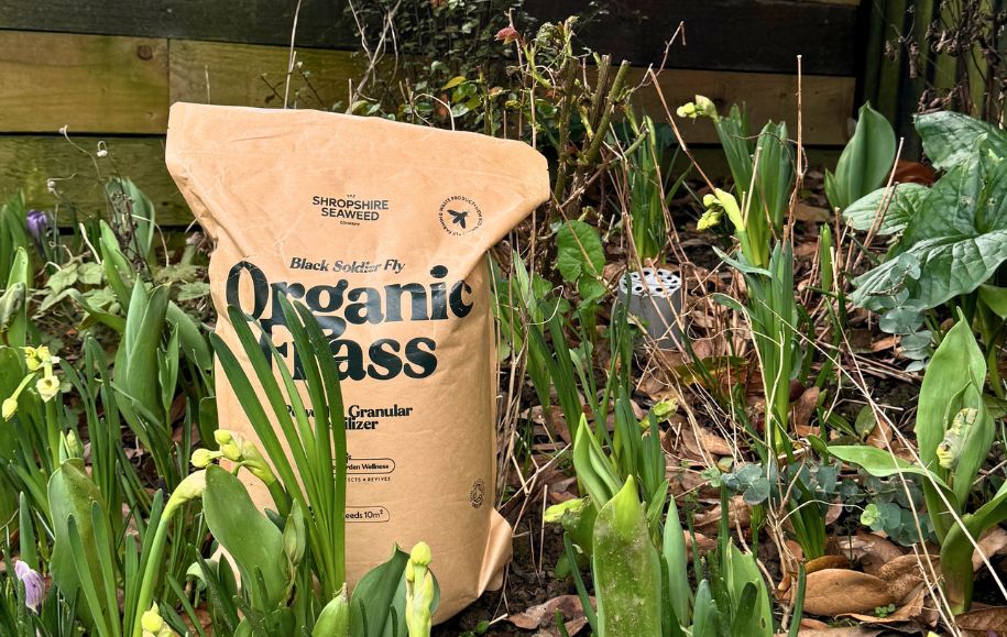 Garden Jobs for Autumn and Winter