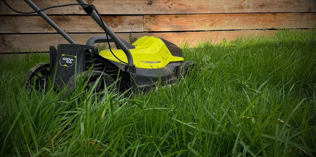 Lawn Maintenance: A Month-by-Month Lawn Care Calendar