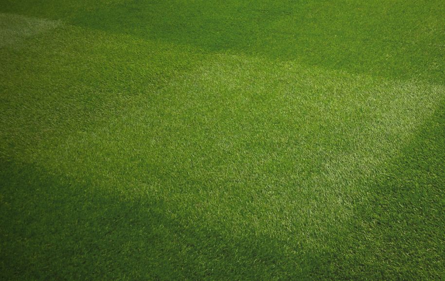 How to Sow a New Lawn From Seed