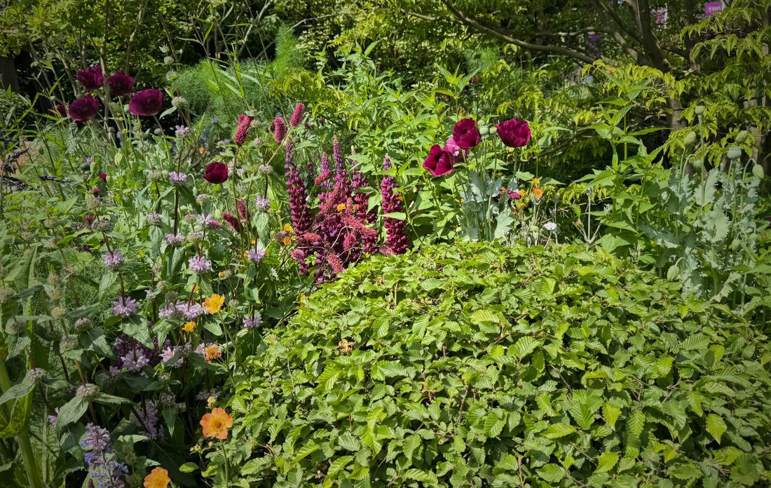 How to Improve Your Soil Naturally