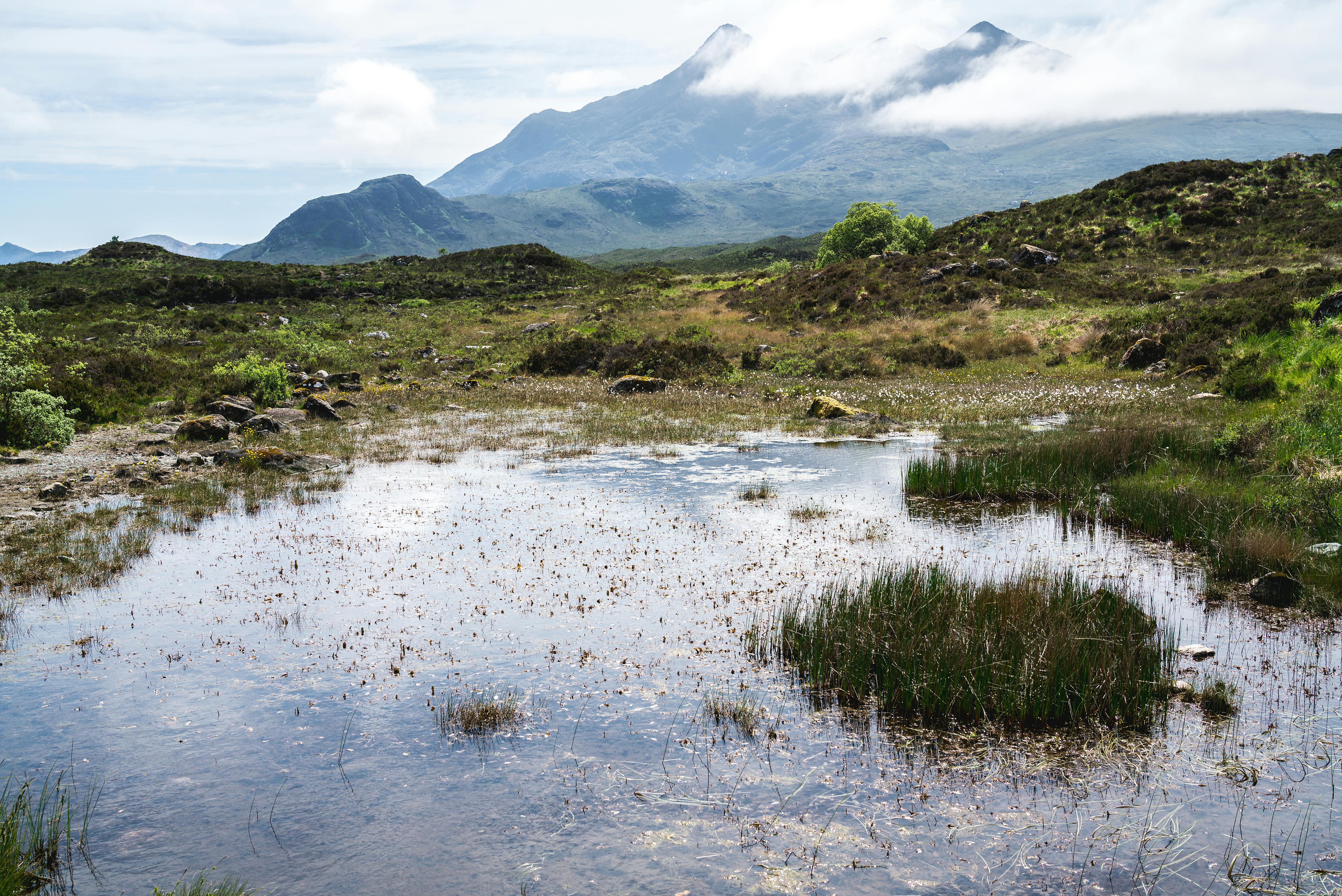 Reviving UK Peatlands: A Critical Step for Carbon Capture