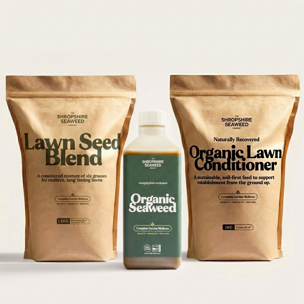 Lawn Revival Care Set