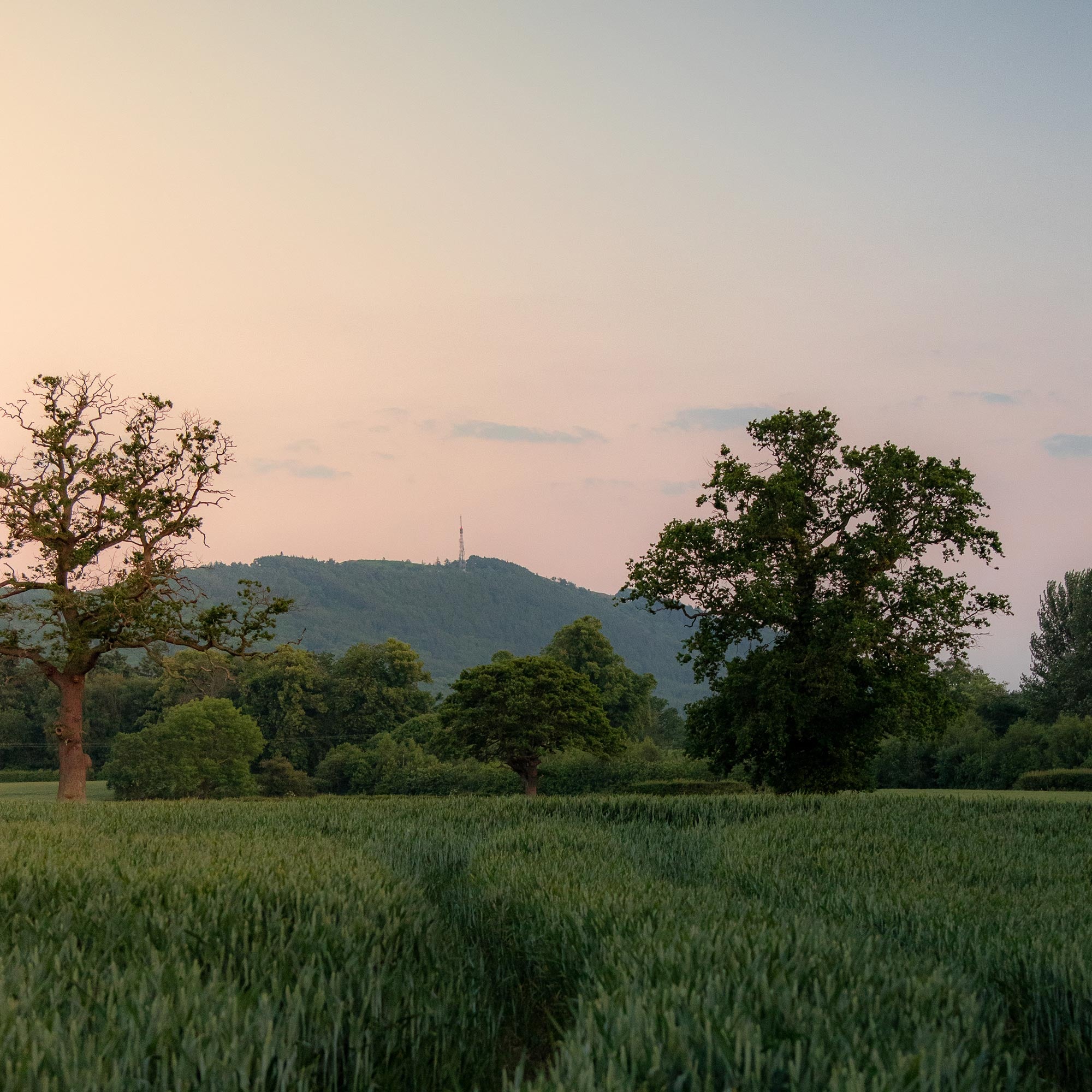 The Shropshire Seaweed Company