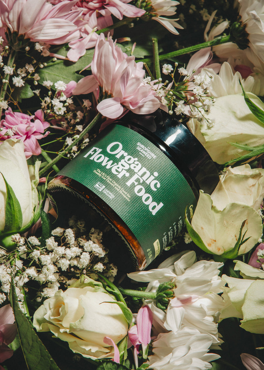 Organic Cut Flower Food | Shropshire Seaweed – The Shropshire Seaweed ...